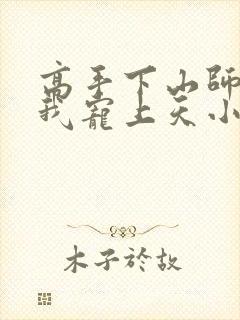 高手下山师姐将我宠上天小说完整版大结局