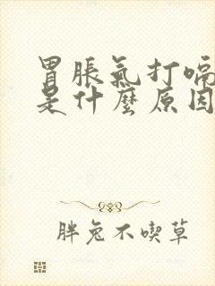 胃胀气打嗝放屁是什么原因呢