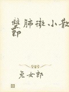 双肺微小散在结节