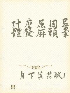 什么原因导致身体发麻头晕