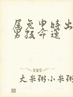 属兔申时出生的男孩命运