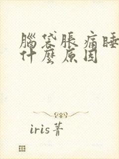 脑袋胀痛睡不着什么原因