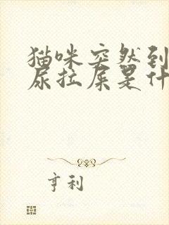 猫咪突然到处乱尿拉屎是什么原因