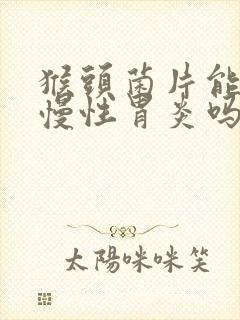 猴头菌片能治疗慢性胃炎吗