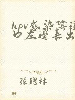 hpv感染阴道口左边长出长条淡粉色肉