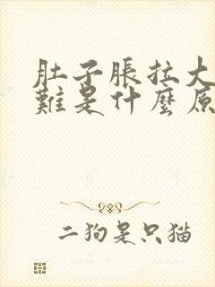 肚子胀拉大便困难是什么原因