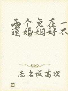 两个兔在一起命运婚姻好不好