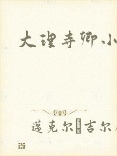 大理寺卿小说封面