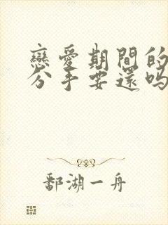 恋爱期间的转账分手要还吗封面