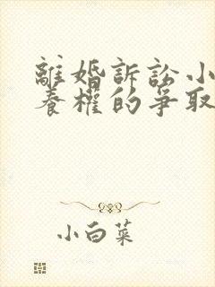 离婚诉讼小孩抚养权的争取封面