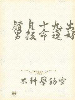 腊月十九出生的男孩命运好吗