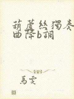 葫芦丝独奏牧羊曲降b调