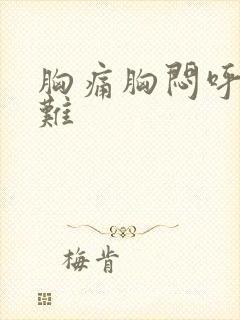 胸痛胸闷呼吸困难