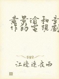 黄景瑜和章宇合作的电视剧