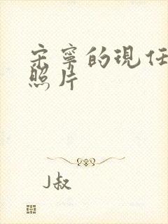 宋宁的现任丈夫照片