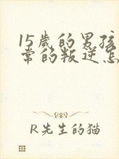 15岁的男孩非常的叛逆怎么办