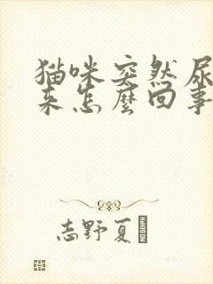 猫咪突然尿不出来怎么回事