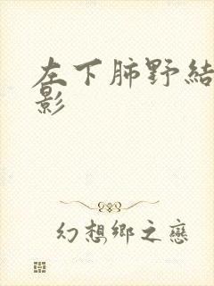 左下肺野结节样影封面