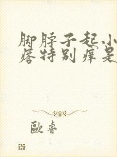 脚脖子起小红疙瘩特别痒是怎么回事