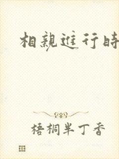 相亲进行时封面