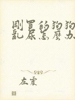 刚买的狗狗乱拉乱尿怎么办