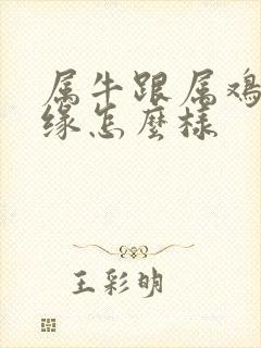 属牛跟属鸡的姻缘怎么样