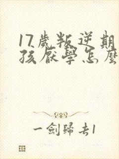 17岁叛逆期男孩厌学怎么办封面