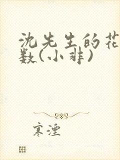 沈先生的花式调数(小非)封面