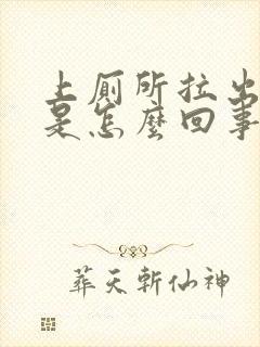 上厕所拉出血了是怎么回事