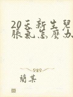 20天新生儿肠胀气怎么办封面