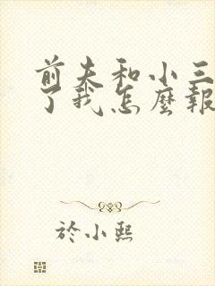 前夫和小三结婚了我怎么报复