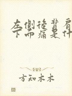 左侧后背肩胛骨下面痛是什么原因