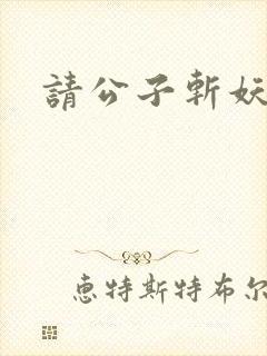 请公子斩妖小说