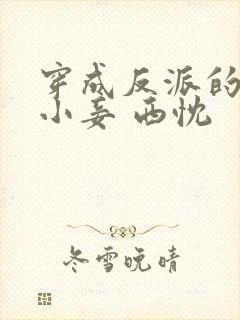 穿成反派的恶毒小妾 西忱