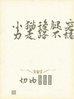 小猫后腿突然无力走路不稳