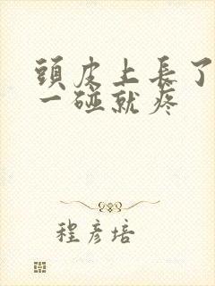 头皮上长了疙瘩一碰就疼