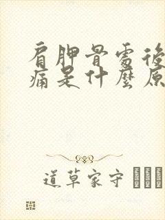 肩胛骨处后背疼痛是什么原因