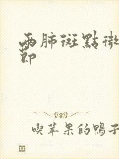 两肺斑点微小结节