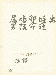 属鸡卯时出生的男孩命运