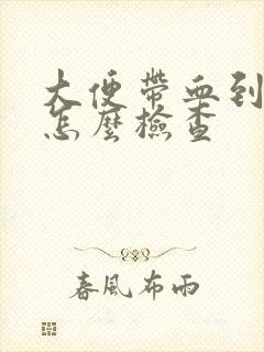 大便带血到医院怎么检查