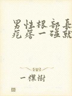 男性根部长了个疙瘩一碰就疼