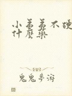 小弟弟不硬吃点什么药封面