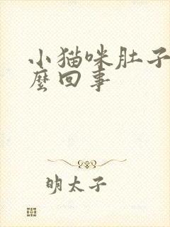 小猫咪肚子大怎么回事