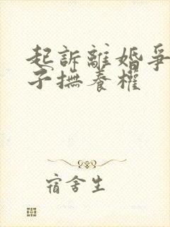 起诉离婚争夺孩子抚养权