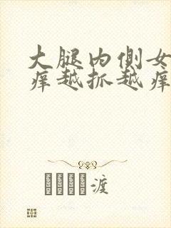 大腿内侧女性痒痒越抓越痒有小红疙瘩