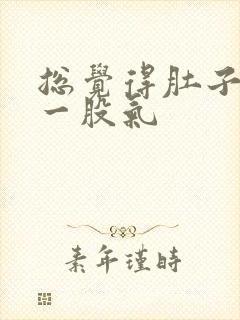 总觉得肚子里有一股气封面