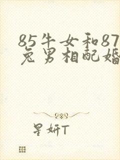 85牛女和87兔男相配婚姻如何