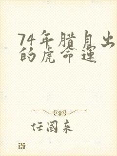 74年腊月出生的虎命运