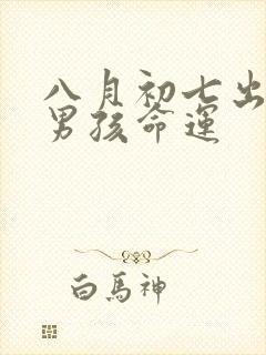 八月初七出生的男孩命运