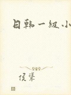 日韩一级小淫片